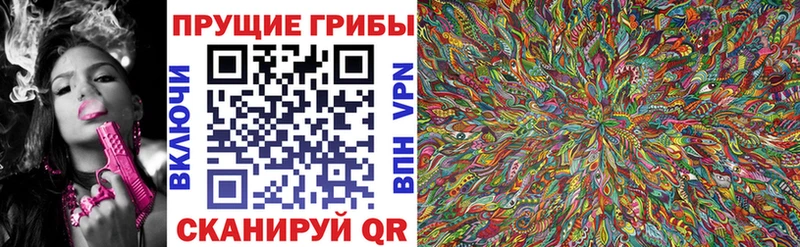Галлюциногенные грибы MAGIC MUSHROOMS Новосокольники